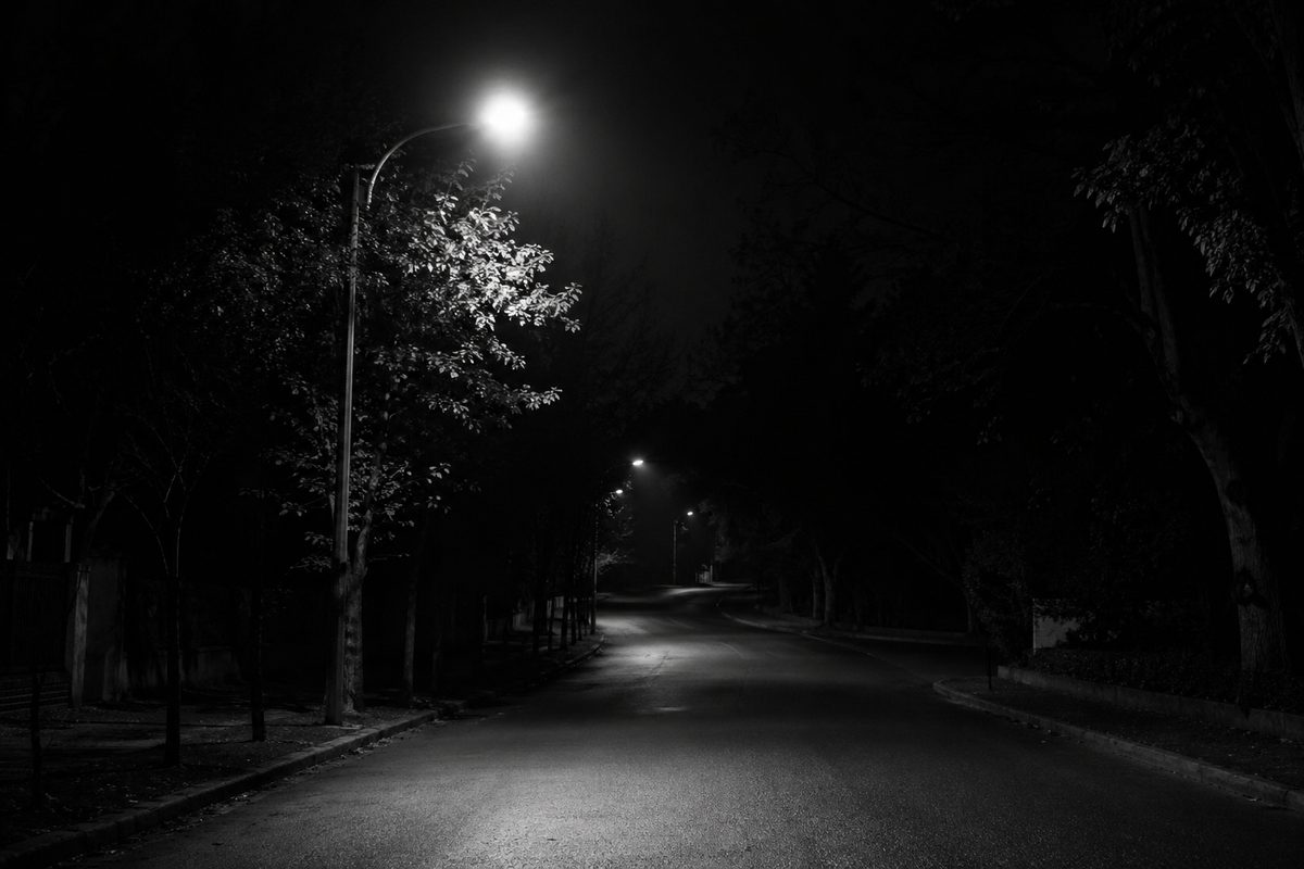 Night vision HDR image showing dark treelines and bright vehicle headlights simultaneously — LOFIC dynamic range in practice